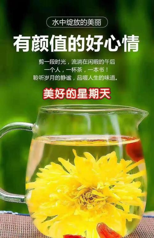 茶香中的坚韧——地震来袭，我们手中的温暖不灭